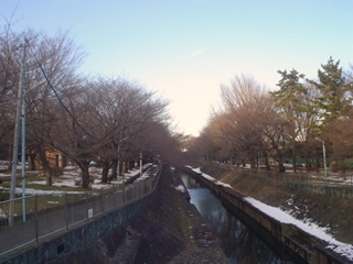 善福寺川緑地公園000