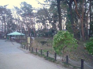 塚山公園003