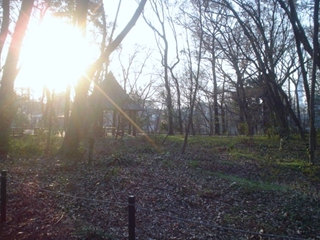 三井の森公園006